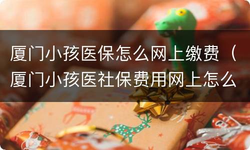厦门小孩医保怎么网上缴费（厦门小孩医社保费用网上怎么交）