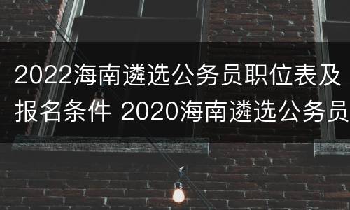 2022海南遴选公务员职位表及报名条件 2020海南遴选公务员