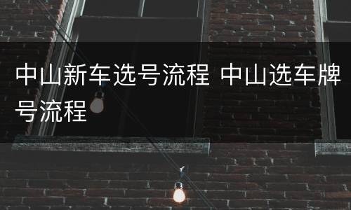 中山新车选号流程 中山选车牌号流程