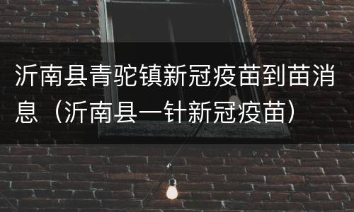 沂南县青驼镇新冠疫苗到苗消息（沂南县一针新冠疫苗）