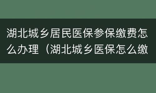 湖北城乡居民医保参保缴费怎么办理（湖北城乡医保怎么缴费操作流程）