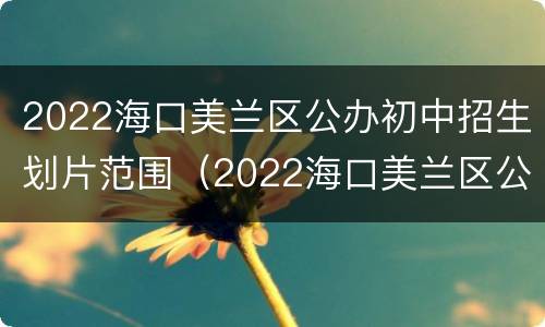 2022海口美兰区公办初中招生划片范围（2022海口美兰区公办初中招生划片范围图）