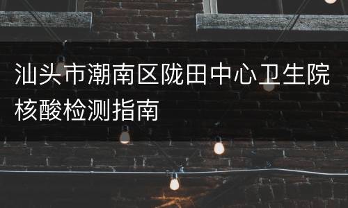 汕头市潮南区陇田中心卫生院核酸检测指南
