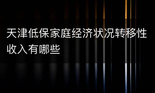天津低保家庭经济状况转移性收入有哪些