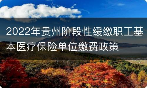 2022年贵州阶段性缓缴职工基本医疗保险单位缴费政策