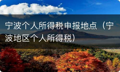 宁波个人所得税申报地点（宁波地区个人所得税）