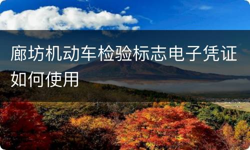 廊坊机动车检验标志电子凭证如何使用