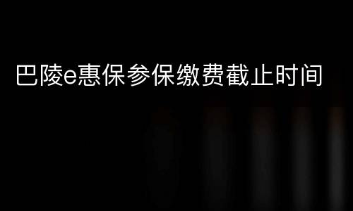 巴陵e惠保参保缴费截止时间