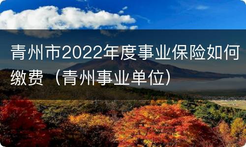 青州市2022年度事业保险如何缴费（青州事业单位）