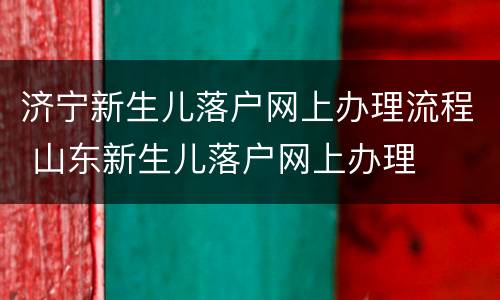 济宁新生儿落户网上办理流程 山东新生儿落户网上办理