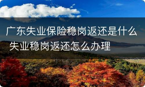 广东失业保险稳岗返还是什么 失业稳岗返还怎么办理