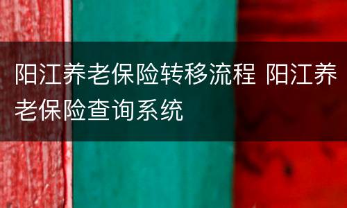 阳江养老保险转移流程 阳江养老保险查询系统
