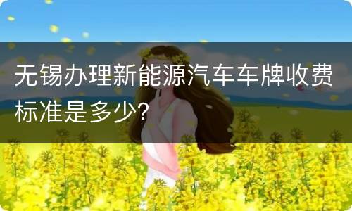 无锡办理新能源汽车车牌收费标准是多少？