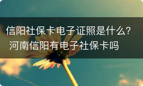 信阳社保卡电子证照是什么？ 河南信阳有电子社保卡吗
