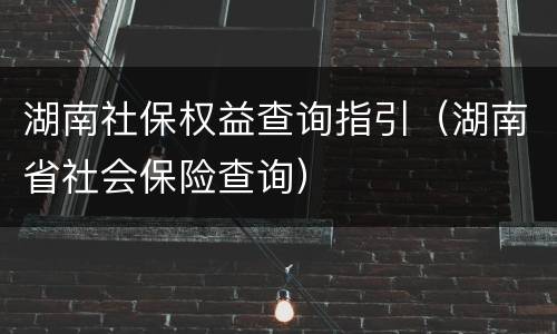湖南社保权益查询指引（湖南省社会保险查询）