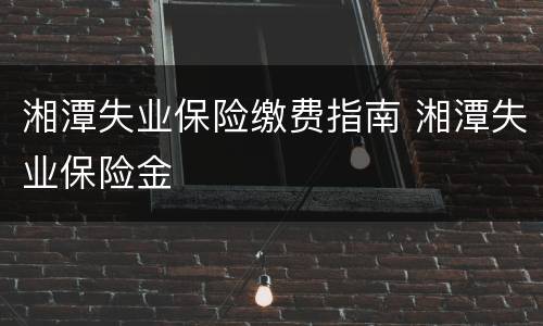 湘潭失业保险缴费指南 湘潭失业保险金