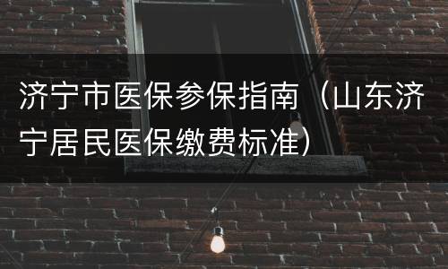 济宁市医保参保指南（山东济宁居民医保缴费标准）