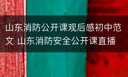 山东消防公开课观后感初中范文 山东消防安全公开课直播