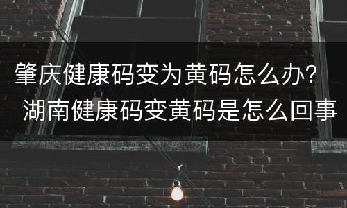 肇庆健康码变为黄码怎么办？ 湖南健康码变黄码是怎么回事