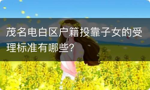 茂名电白区户籍投靠子女的受理标准有哪些？