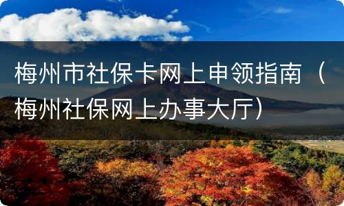 梅州市社保卡网上申领指南（梅州社保网上办事大厅）