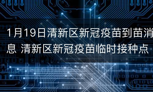 1月19日清新区新冠疫苗到苗消息 清新区新冠疫苗临时接种点
