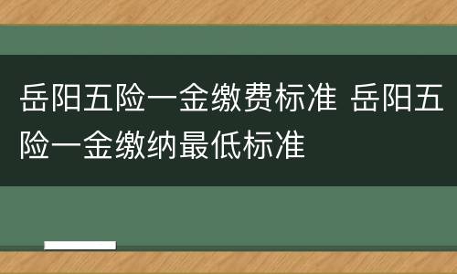 岳阳五险一金缴费标准 岳阳五险一金缴纳最低标准