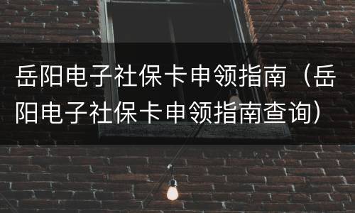 岳阳电子社保卡申领指南（岳阳电子社保卡申领指南查询）