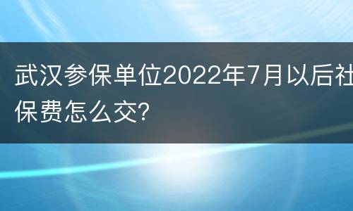 武汉参保单位2022年7月以后社保费怎么交？