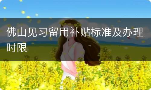 佛山见习留用补贴标准及办理时限
