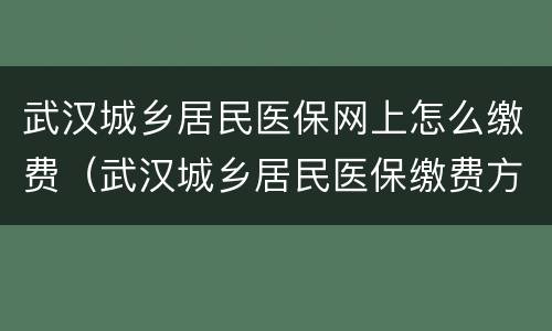 武汉城乡居民医保网上怎么缴费（武汉城乡居民医保缴费方式）