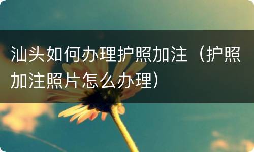 汕头如何办理护照加注（护照加注照片怎么办理）