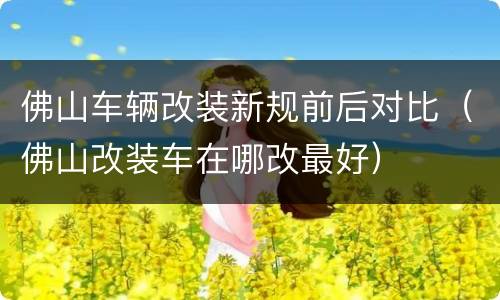 佛山车辆改装新规前后对比（佛山改装车在哪改最好）