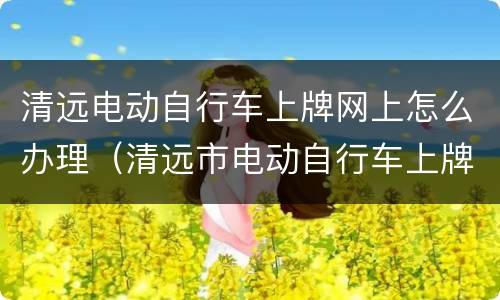 清远电动自行车上牌网上怎么办理（清远市电动自行车上牌照需要什么手续）