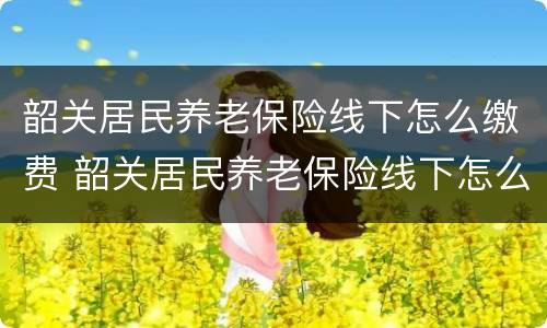 韶关居民养老保险线下怎么缴费 韶关居民养老保险线下怎么缴费的
