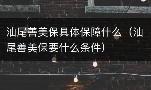 汕尾善美保具体保障什么（汕尾善美保要什么条件）