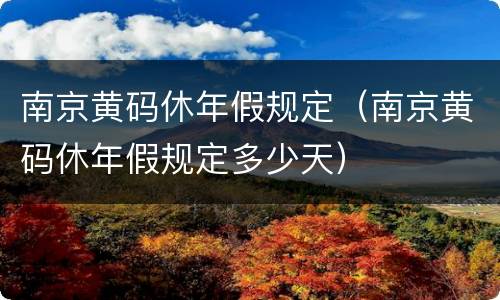 南京黄码休年假规定（南京黄码休年假规定多少天）