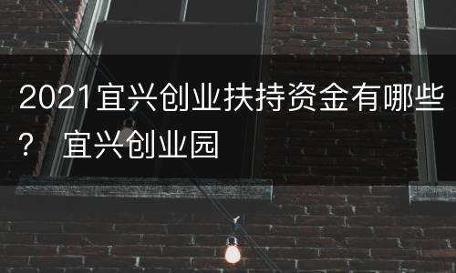 2021宜兴创业扶持资金有哪些？ 宜兴创业园