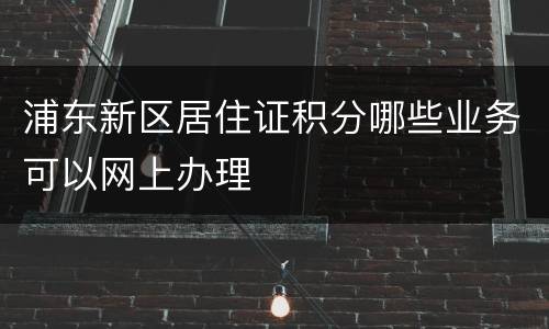 浦东新区居住证积分哪些业务可以网上办理
