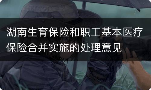 湖南生育保险和职工基本医疗保险合并实施的处理意见