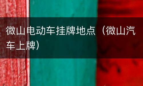 微山电动车挂牌地点（微山汽车上牌）