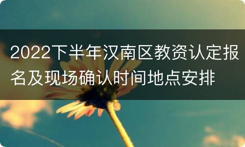 2022下半年汉南区教资认定报名及现场确认时间地点安排