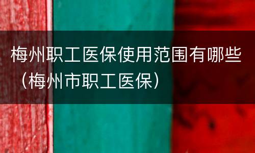 梅州职工医保使用范围有哪些（梅州市职工医保）