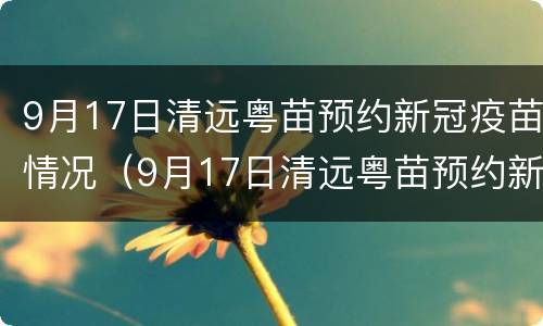 9月17日清远粤苗预约新冠疫苗情况（9月17日清远粤苗预约新冠疫苗情况如何）