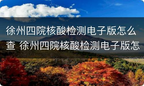 徐州四院核酸检测电子版怎么查 徐州四院核酸检测电子版怎么查询