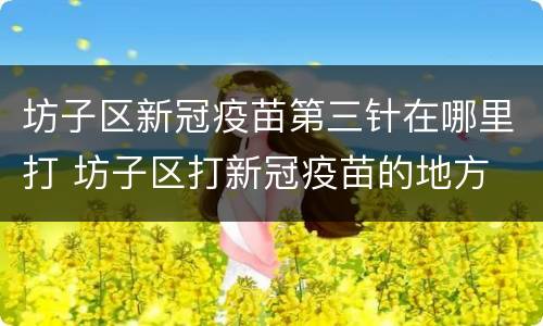 坊子区新冠疫苗第三针在哪里打 坊子区打新冠疫苗的地方