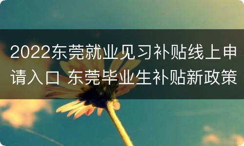 2022东莞就业见习补贴线上申请入口 东莞毕业生补贴新政策