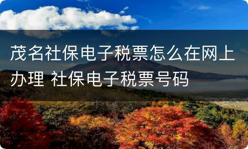 茂名社保电子税票怎么在网上办理 社保电子税票号码