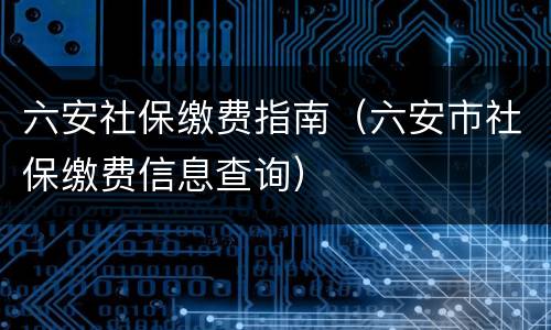 六安社保缴费指南（六安市社保缴费信息查询）