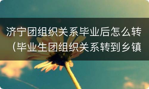 济宁团组织关系毕业后怎么转（毕业生团组织关系转到乡镇流程）
